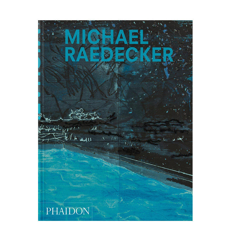 【预售】英文原版 荷兰艺术家迈克尔·雷德克尔 Michael Raedecker 艺术画册 正版进口图书 善优图书