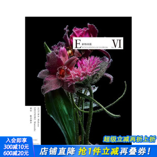 植物図鑑Ⅵ 原版 日本正版 植物图鉴 日文摄影作品集 进口书 现货