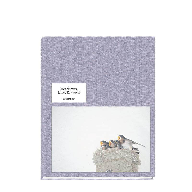 【现货】川内伦子摄影集 鸟类Des oiseaux 英文原版 进口作品集写真集 Rinko Kawauchi 图书