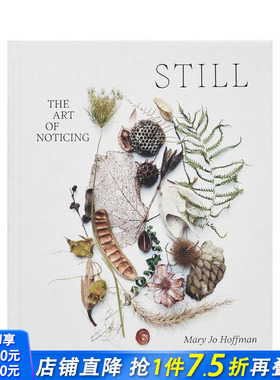 【预售】静谧：观察的艺术 STILL: The Art of Noticing 原版英文艺术画册画集 正版进口书