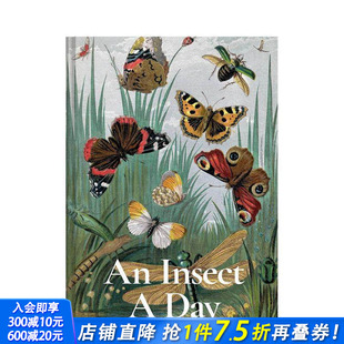 Day 进口书 一天一昆虫 正版 英文社会科学 原版 Insect 预售