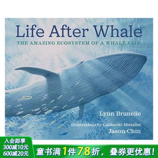 Life 进口童书 凯迪克获奖插画师Jason 英文儿童插画故事绘本 Whale After 奇妙世界 鲸落 Chin 现货