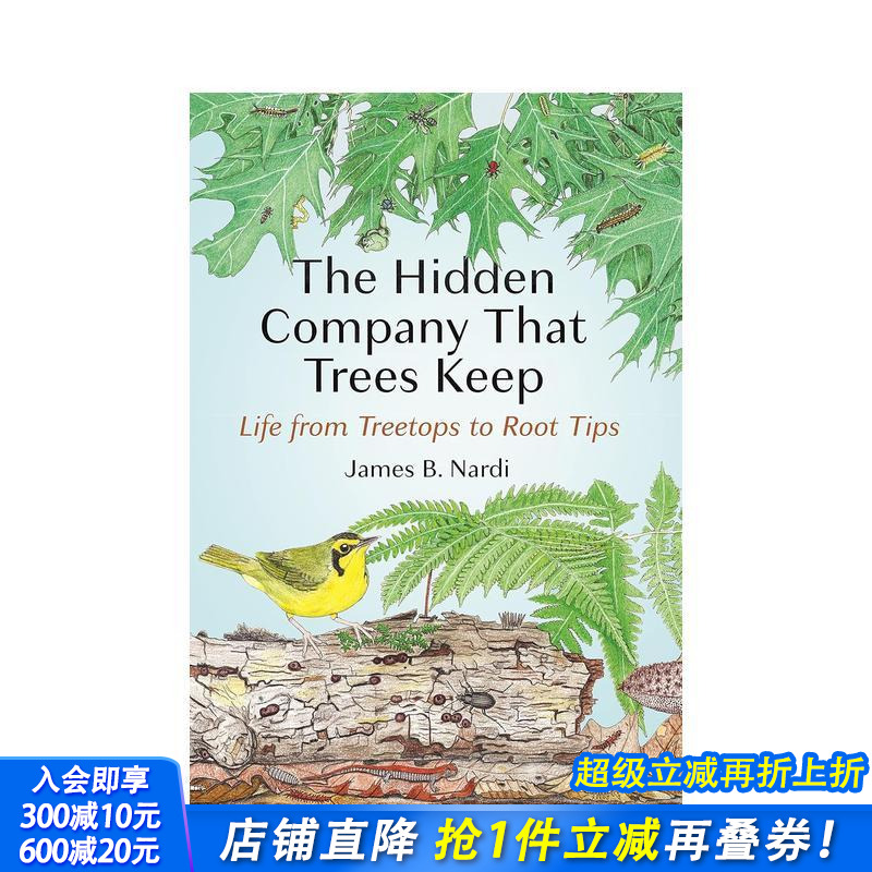 树的隐伴：从树梢到根尖的生命