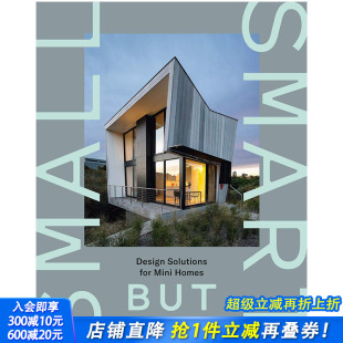 but Small Smart 小而智能：迷你家居设计解决方案 居家室内设计 英文原版 现货