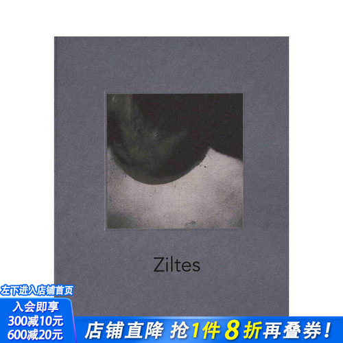 盐渍：贝尔纳黛特&middot;梅西昂 Zi