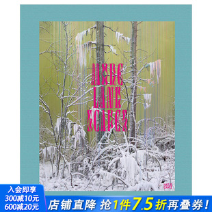 现货 Landscapes更多 Sandra More 风景 Kantanen桑德拉·坎塔宁画集