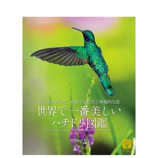 世界で一番美しい 世界美丽蜂鸟图鉴 ハチドリ図鑑 原版 日本进口书 日文艺术 预售