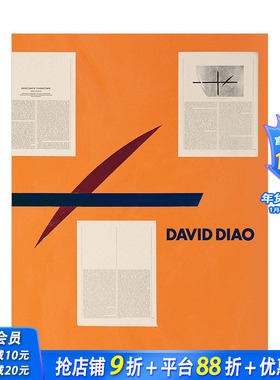 【现货】David Diao 中国艺术家刁德谦 英文原版现当代艺术