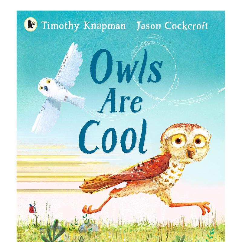 猫头鹰都很酷 Owls Are