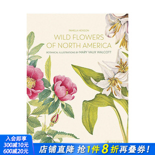 Walcott植物水彩插画 现货 Vaux 设定集 进口书 原画 Wild 北美洲野生花卉：Mary America North Flowers 英文正版 插画