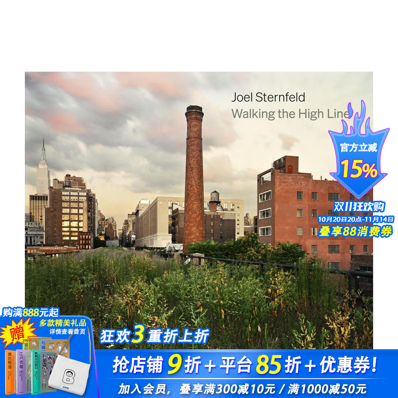 乔尔·斯坦菲尔德：行走于高线公