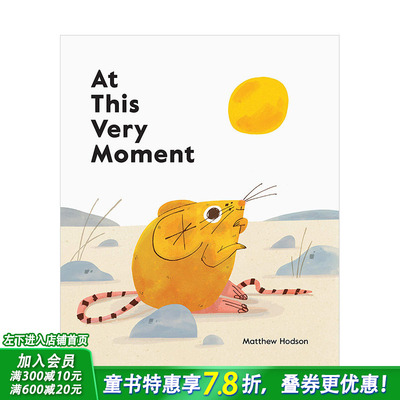 【现货】[T&H]在这个非常的时刻At This Very Moment 儿童治愈彩图自然绘本 英文原版【善优童书】