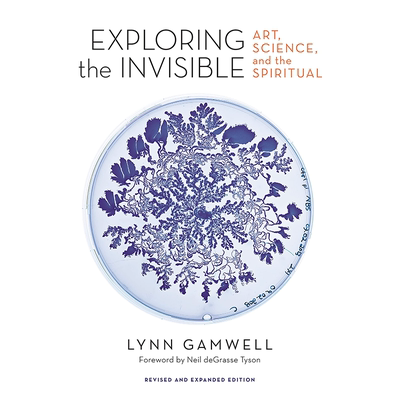 【现货】Exploring the Invisible: Art Science and the Spiritual Revised and Expanded Edition探索无形： Lynn Gamwell艺术