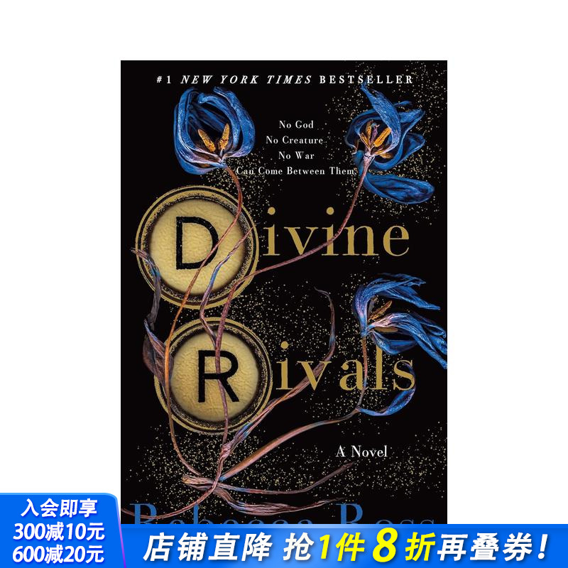 神圣对手 小说 Divine