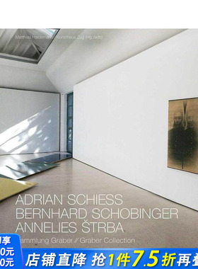 【预售】国际知名瑞士艺术家藏品集 Adrian Schiess - Bernhard Schobinger - Annelies Strba  原版英文艺术画册画集 正版进口书