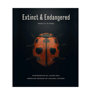 【预售】英文 灭*与濒危：处境危险的昆虫 Extinct & Endangered : Insects in Peril 自然景观摄影 正版进口图书画册