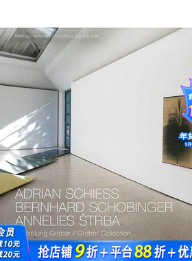 【预售】国际知名瑞士艺术家藏品集 Adrian Schiess - Bernhard Schobinger - Annelies Strba  原版英文艺术画册画集 正版进口书