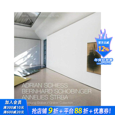 【预售】国际知名瑞士艺术家藏品集 Adrian Schiess - Bernhard Schobinger - Annelies Strba  原版英文艺术画册画集 正版进口书