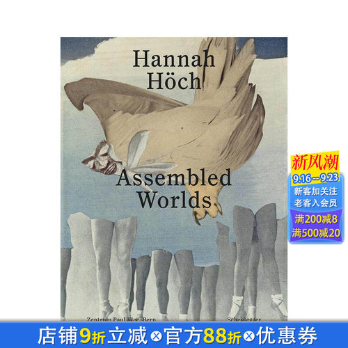 汉娜&middot;霍赫 Hannah Ho