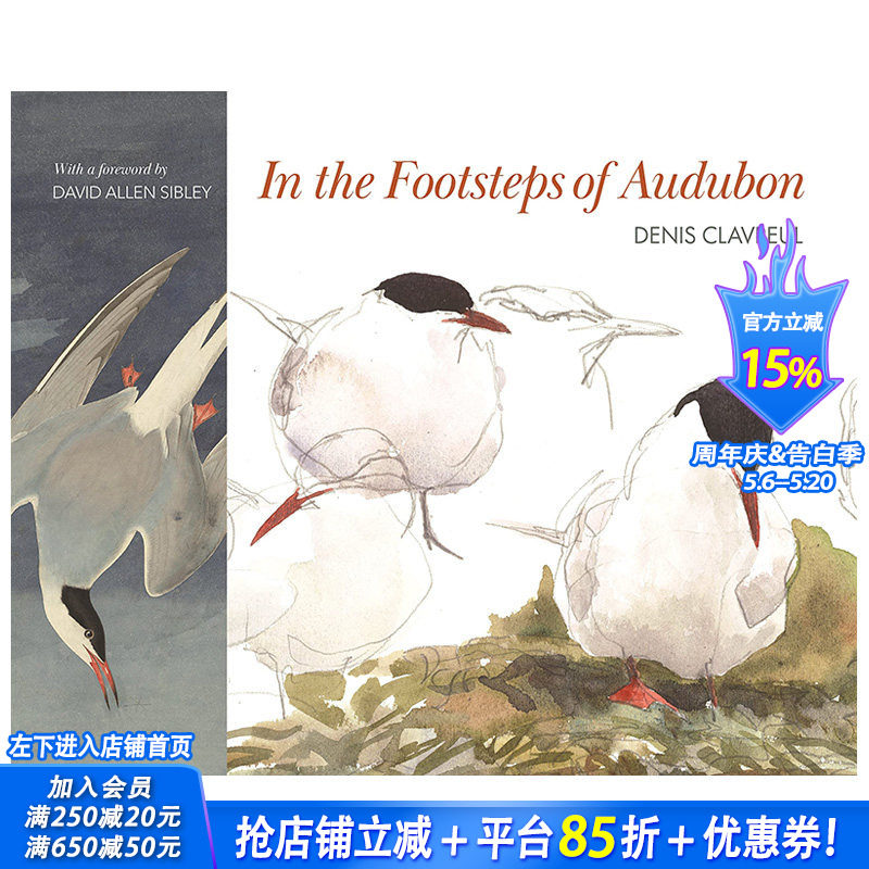 【预售】英文原版 追随奥杜邦的脚步 In the Footsteps of Audubon 插画/原画/设定集 正版进口图书画册 善优图书