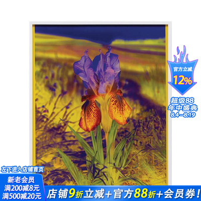 【现货】丽莎·奥本海姆：永恒的替代 Lisa Oppenheim The Eternal Substitute 原版英文艺术画册画集 正版进口书
