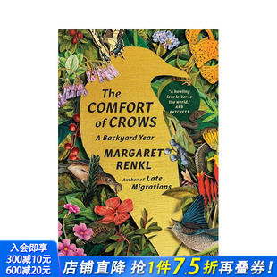 Comfort 英文文学传记 预售 The 舒适：后院 正版 原版 Crows 进口书籍 Backyard 一年 Year 乌鸦 善优图书