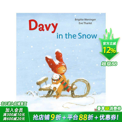 【预售】雪地里的戴维 Davy in the Snow 原版英文儿童插画艺术绘本 进口童书