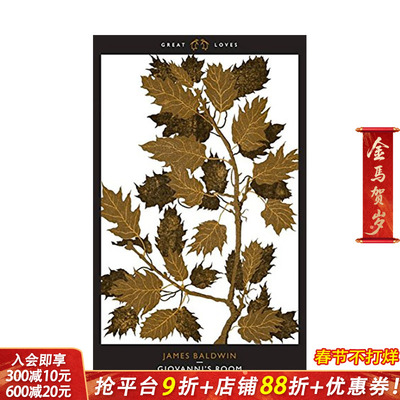 【预售】Giovanni‘s Room 乔凡尼的房间 James Baldwin詹姆斯·鲍德温