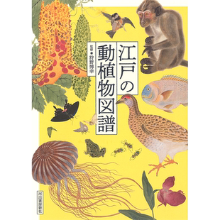 【预售】 江戸の動植物図譜，江户动植物图鉴 日文原版图书籍进口正版 狩野博幸 艺术综合 河出書房新社