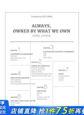 【现货】【中国文化视角】汪建伟：我们总是被拥有的东西所拥有 Always  Owned by What We Own 原版英文艺术画册画集 正版进口书
