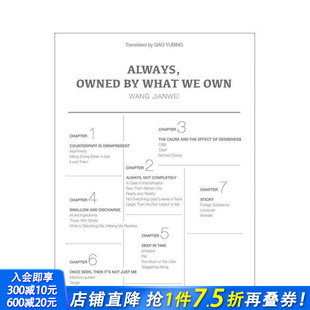 东西所拥有 现货 汪建伟：我们总是被拥有 英文艺术画册画集 进口书 原版 Always 中国文化视角 What Owned 正版 Own