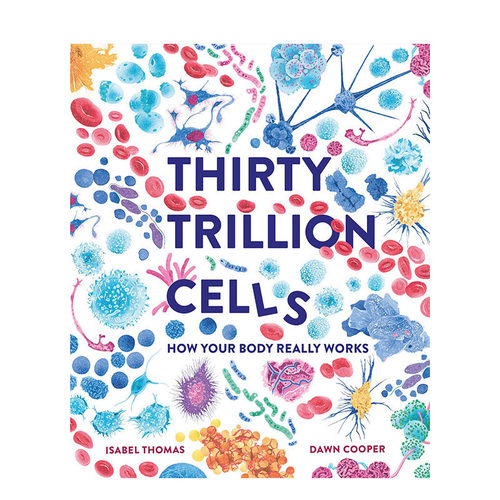 【现货】英文原版 30万亿个细胞:人体是如何运作的 Thirty Trillion Cells 精装艺术插画绘本 科普知识百科 6岁+ 儿童英语进口图书
