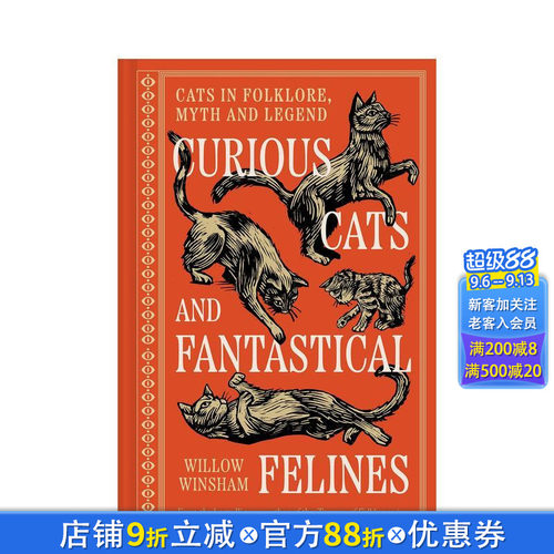 好奇的猫咪与奇幻的猫科动物 C