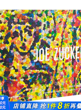 【现货】Joe Zucker 乔·扎克 英文原版 现当代艺术 艺术家专著 工艺艺术