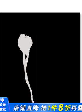 【预售】Nausea恶心眩晕 摄影师Ron Jude单调空间和物体视觉传达作品集 英文原版进口画册MACK出版