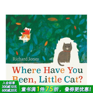 Jones 进口童书 英文儿童插画故事科普绘本 You 现货 英国插画师Richard Been 小猫？ 你去哪了 Cat? Where Little Have