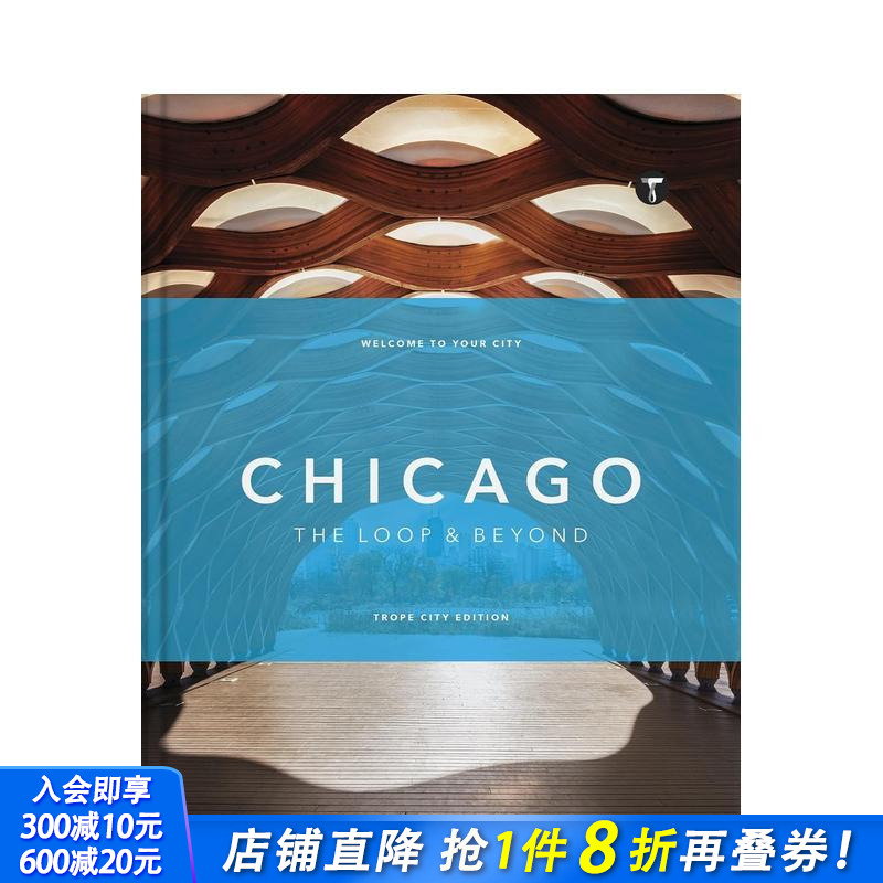 芝加哥建筑元素：环路及周边 T