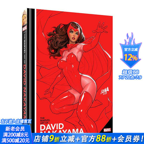 大卫-中山的惊奇艺术 The