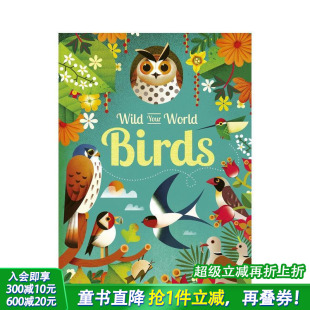 Birds 现货 Your 寓教于乐 英文儿童插画科普故事绘本 鸟类 物种分类 狂野世界 进口童书 Wild 飞行力学 World