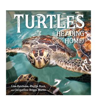 【现货】海龟归家记 Turtles Heading Home! 英文儿童插画故事绘本 进口童书