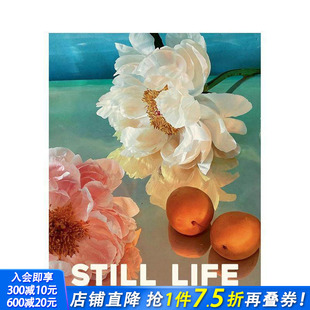 20张明信片及信封 进口书 正版 and 预售 静静生活 Envelopes Life Still 明信片 Notecards 原版