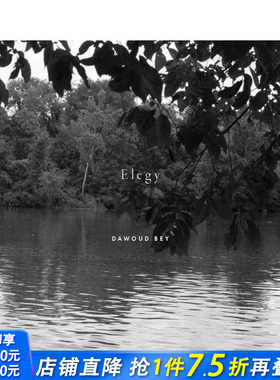 【预售】达沃德·贝：挽歌 Dawoud Bey: Elegy 原版英文摄影 正版进口书
