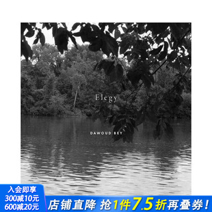 Dawoud Bey 正版 预售 进口书 英文摄影 达沃德·贝：挽歌 原版 Elegy