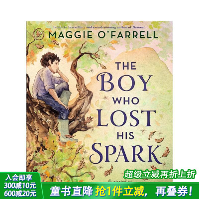 【预售】【卡内基插画奖长名单】失去火花的男孩 (平装) The Boy Who Lost His Spark 英文儿童插画故事绘本 进口童书