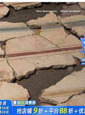 【现货】英文原版 谢恩·拉瓦莱特 ：新纪念碑 【Season Series】Shane Lavalette ：New Monuments 摄影师 正版进口书画册