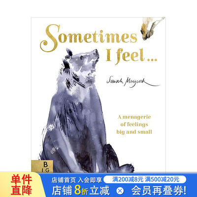 【现货】有时我感觉…：各种的情感Sometimes I Feel... 儿童艺术绘本 英文原版 3-6岁孩子情感共鸣认知