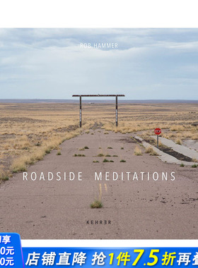 【预售】英文原版 路边沉思 Rob Hammer: Roadside Meditations 人文景观摄影 正版进口书籍艺术画册 善优图书