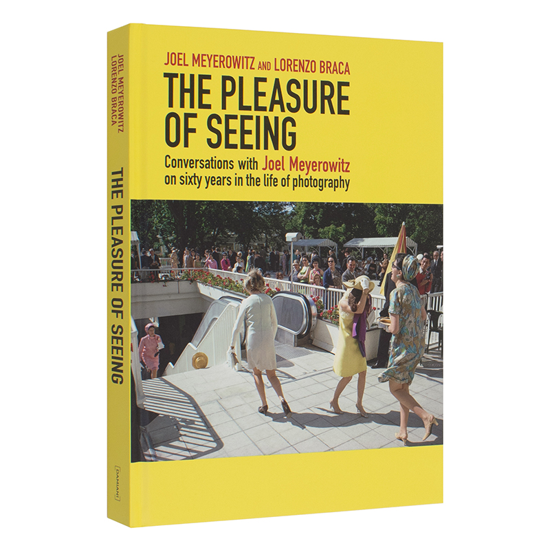 【现货】英文原版 视觉愉悦：Joel Meyerowitz×Lorenzo Braca对谈 The Pleasure of Seeing 摄影正版进口图书