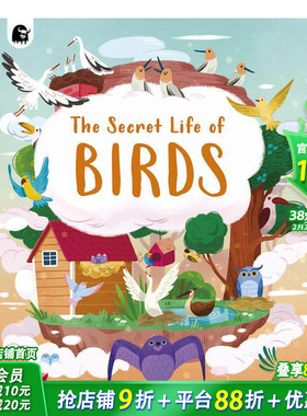 【现货】英文原版 鸟的秘密生活 The Secret Life of Birds  英语儿童自然科普艺术绘本   3-6岁 Moira Butterfield 精装进口童书