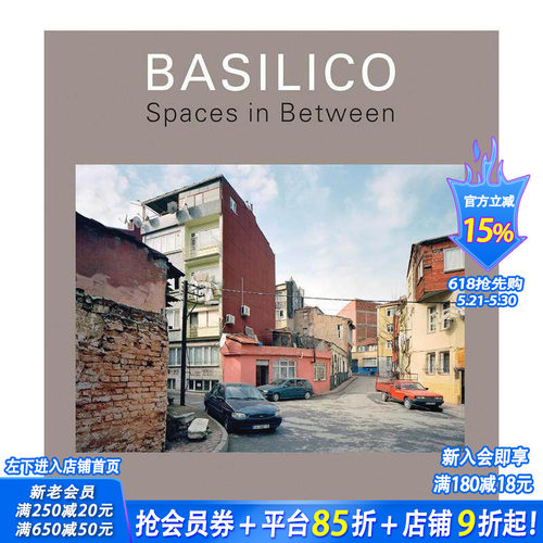 加布里埃尔&middot;巴西利科：中间地带